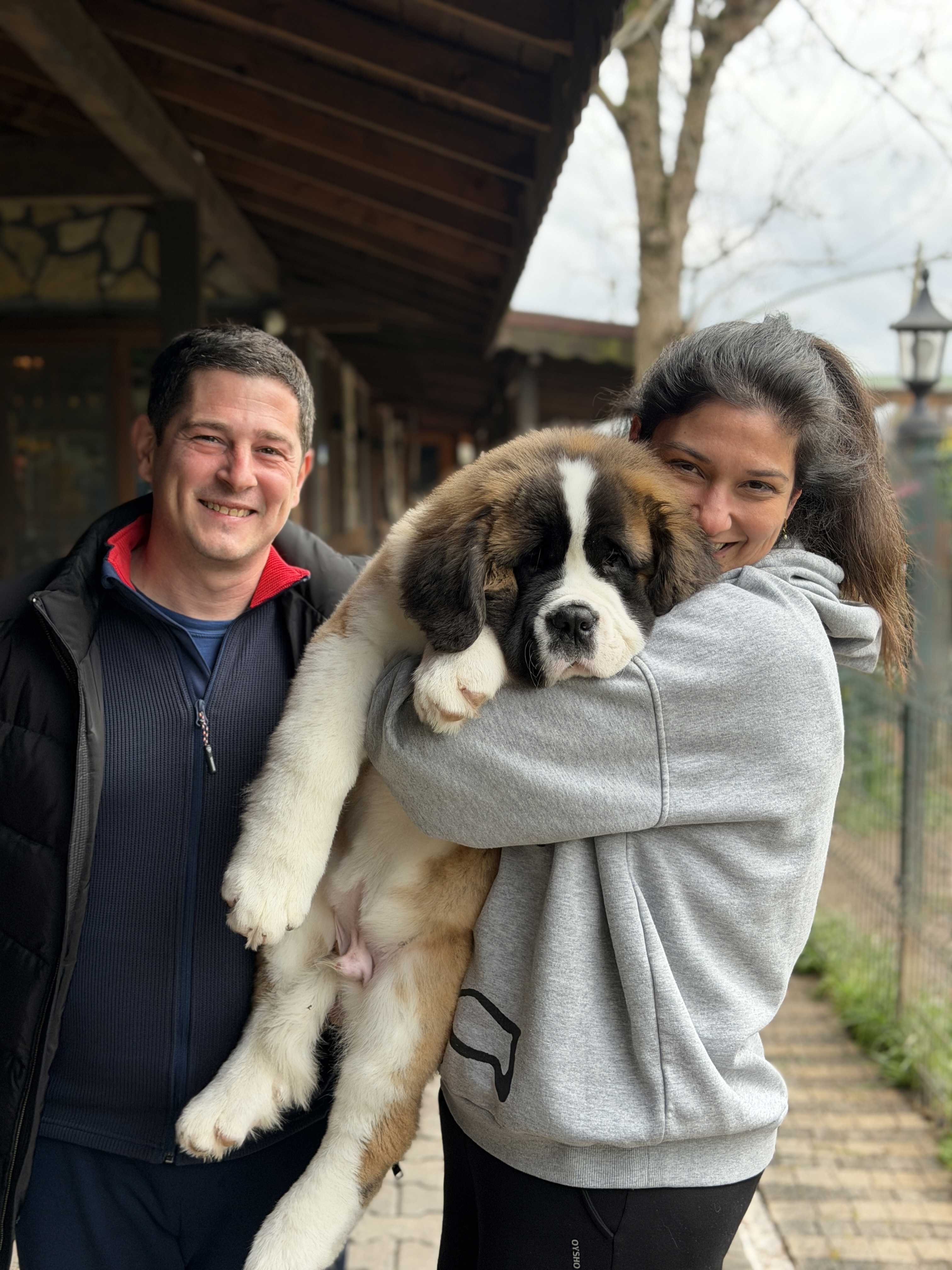 Hepimize kendini aşık eden Babu'yu Alperer ailesiyle birlikte Ankara'ya uğurladık. Muhteşem bir yavru ve bol şans getirsin :)