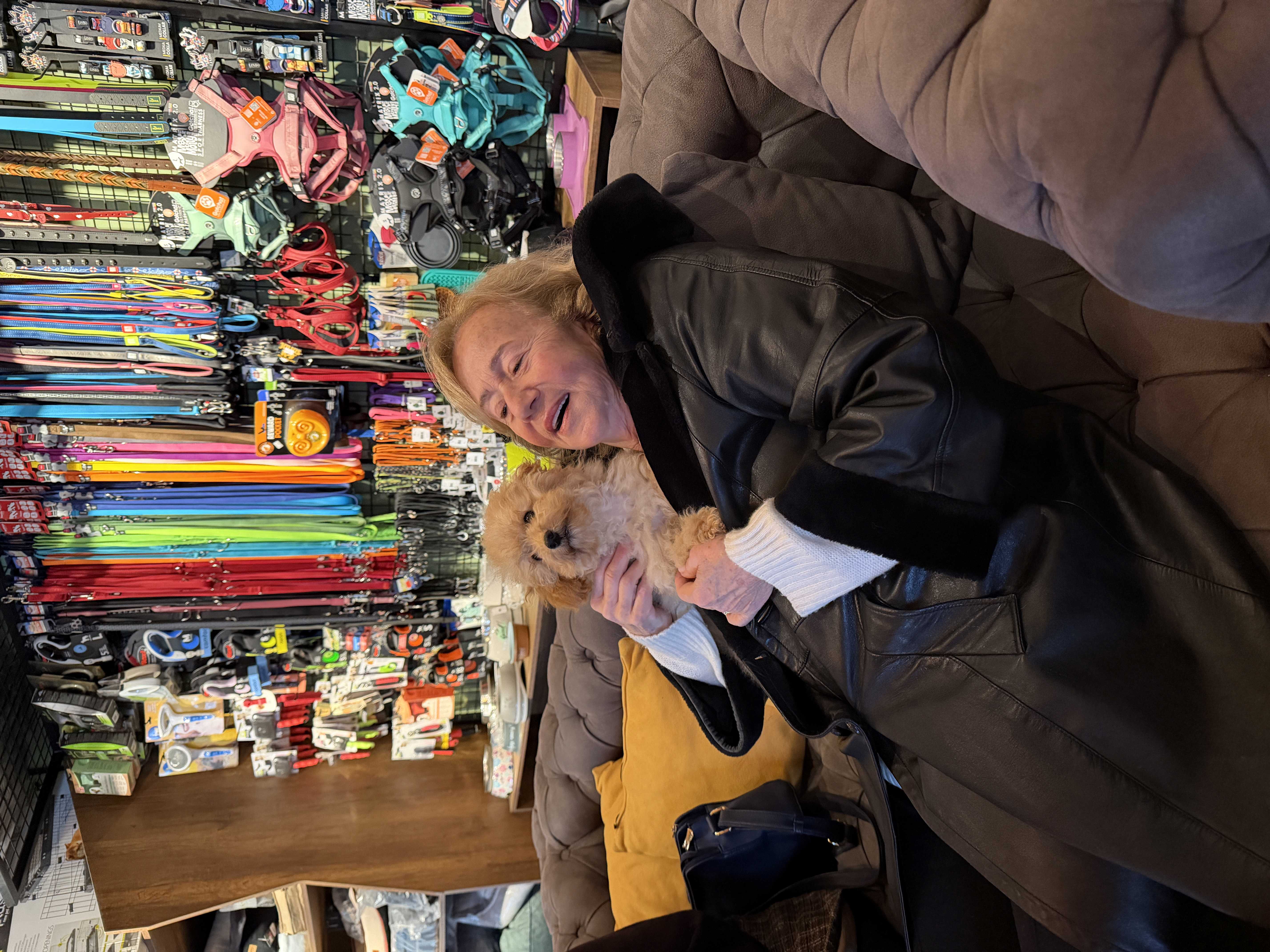 Bianca bu tatlı hanımın yeni patili dostu oldu, birlikte çok güzel yılları olsun :)